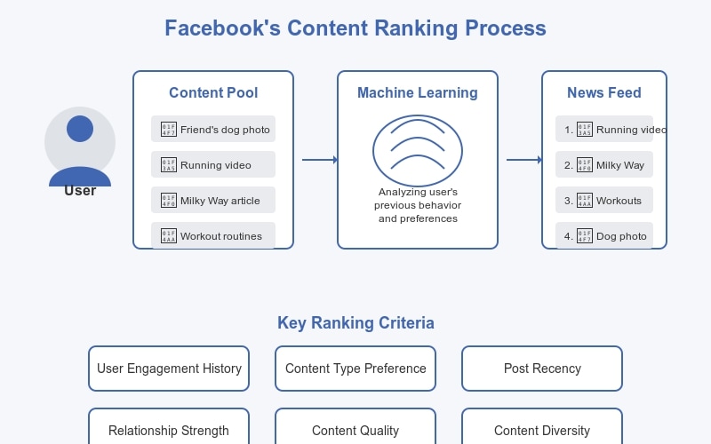 Facebook's content ranking process